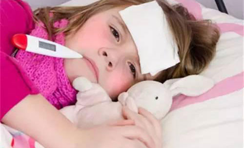 С��������ô������� ʵ�õ�����С����